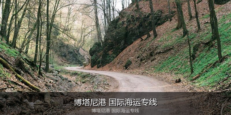 中国到澳洲海运专线服务优势与价格指南
